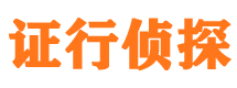 大新侦探